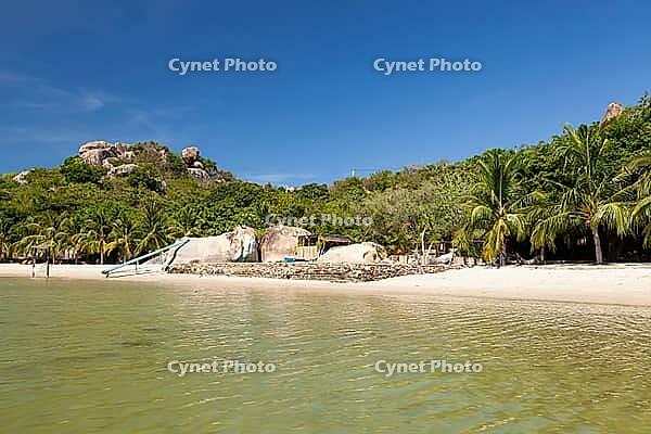 Beach at Sao Bien, Province of Ninh Thuan, Khan Hoa Vietnam, VietNam [IBR125002260]