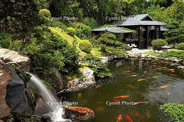 Japanese Garden, Dalat, Central Highlands, Vietnam [IBR125002286]