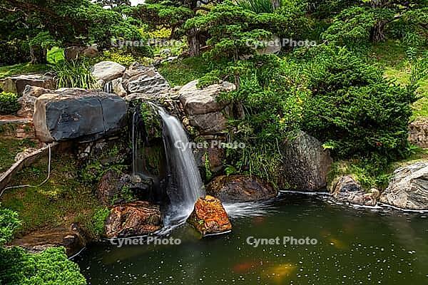 Japanese Garden, Dalat, Central Highlands, Vietnam [IBR125002289]