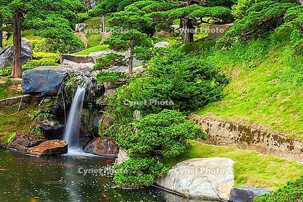 Japanese Garden, Dalat, Central Highlands, Vietnam [IBR125002291]