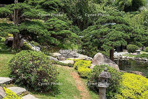 Japanese Garden, Dalat, Central Highlands, Vietnam [IBR125002300]