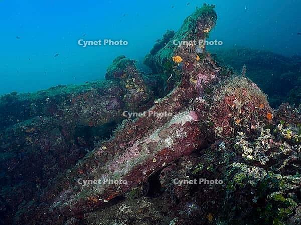 A huge anchor lies on the seabed, covered by sea sponges and algae, diving site Cap de Creus Marine Reserve, Rosas, Costa Brava, Spain, Mediterranean [IBR125002400]