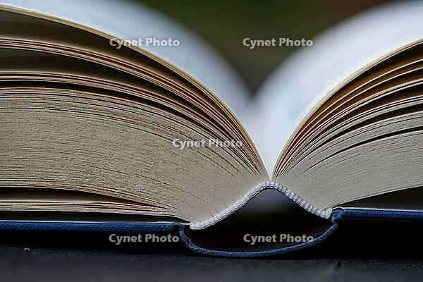 Open book, Kempen, Viersen District, North Rhine-Westphalia, Germany [IBR125007609]