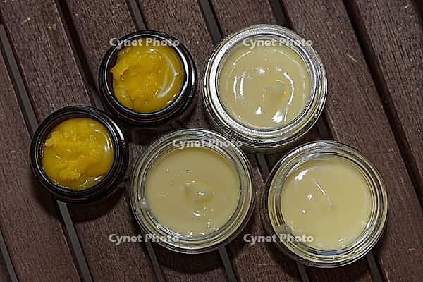 Homemade cream in small jars, Kempen, Viersen District, North Rhine-Westphalia, Germany [IBR125007639]