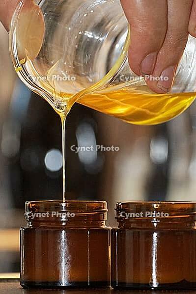 Homemade cream is filled into small jars, Kempen, Viersen district, North Rhine-Westphalia, Germany [IBR125007645]