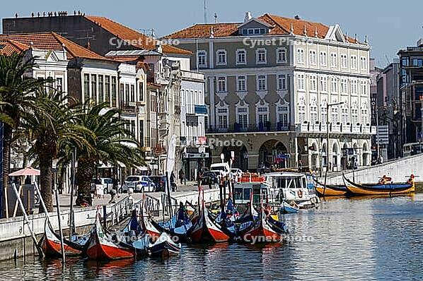 Moliceiro boats in Canal Central in front of historic buildings, Old Town, Aveiro District, Centro Region, Portugal [IBR125007667]