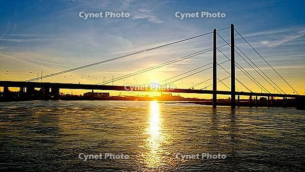 Rhein-Knee bridge at sunset, Düsseldorf, North Rhine-Westphalia, Germany [IBR125012322]