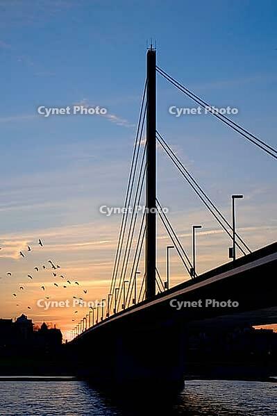 Oberkassel bridge at sunset, Düsseldorf, North Rhine-Westphalia, Germany [IBR125012323]