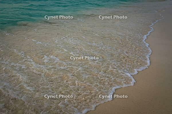 A gentle wave rolling into the shore with turquoise ocean background. Eagle Beach, Aruba [IBR125026140]