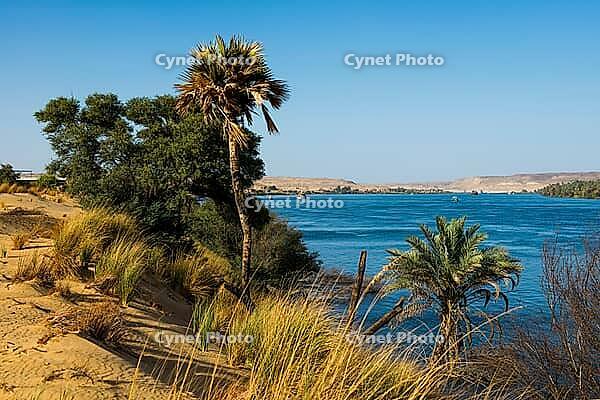 Landscape with palm trees and dunes on the Nile, near Aswan, Upper Egypt, Egypt [IBR125026147]