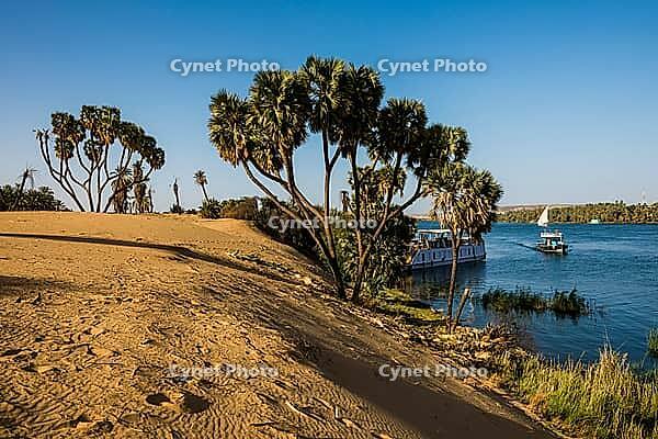 Landscape with palm trees and dunes on the Nile, near Aswan, Upper Egypt, Egypt [IBR125026154]