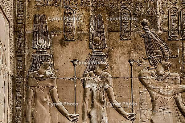Reliefs and hieroglyphs, Kom Ombo temple, Upper Egypt, Egypt [IBR125026158]