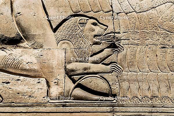 Reliefs and hieroglyphs, Kom Ombo temple, Upper Egypt, Egypt [IBR125026172]