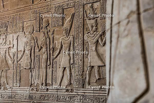 Reliefs and hieroglyphs, Kom Ombo temple, Upper Egypt, Egypt [IBR125026179]