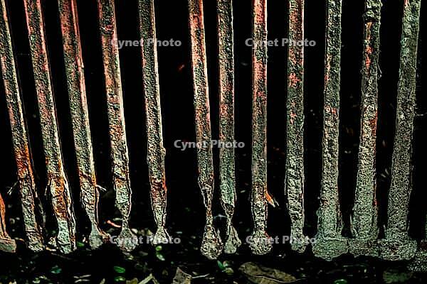 Close-up of rusty metal bars of drain grate pattern grunge background. isolated on black mysterious backdrop from pipe or tunnel [IBR125026220]