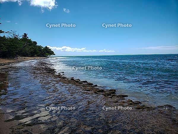 A rocky shoreline with clear, blue water and a visible reef structure at Steps Beach in Rincon, Puerto Rico [IBR125026227]