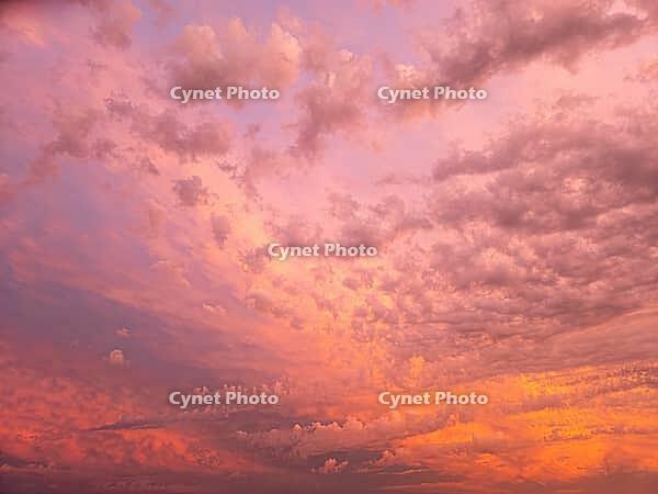 Colorful sky with pink clouds at a beautiful sunset, background [IBR125030430]