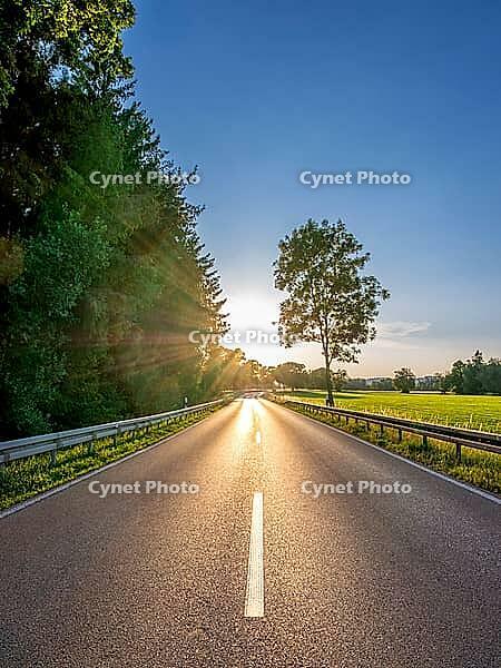 Country road towards evening sun, towards the sun, Bavaria, Germany [IBR125030431]