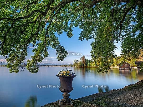 Lake Starnberg in morning light, Tutzing, Bavaria, Germany [IBR125030475]