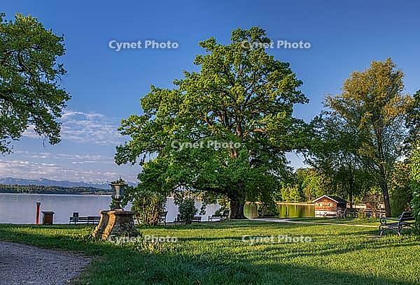 Bleicherpark am Starnberger See in morning light, Tutzing, Bavaria, Germany [IBR125030477]
