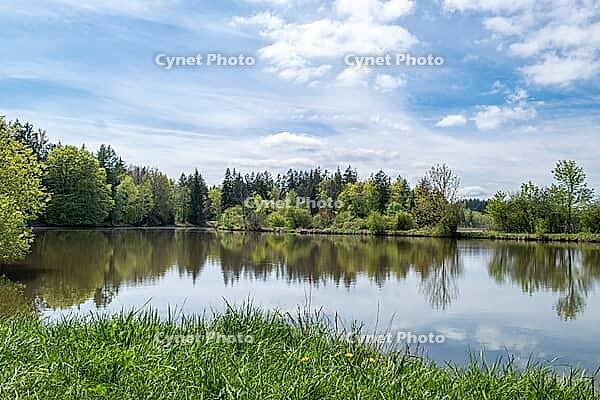 Landscape in spring at Deixlfurter See, Tutzing, Bavaria, Germany [IBR125030487]