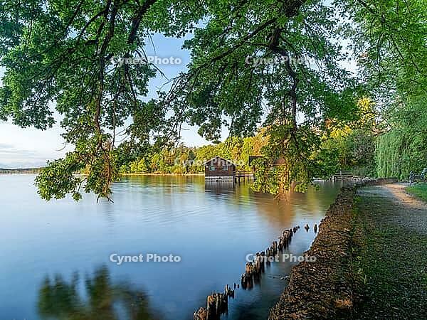 Lake Starnberg in morning light, Tutzing, Bavaria, Germany [IBR125030493]