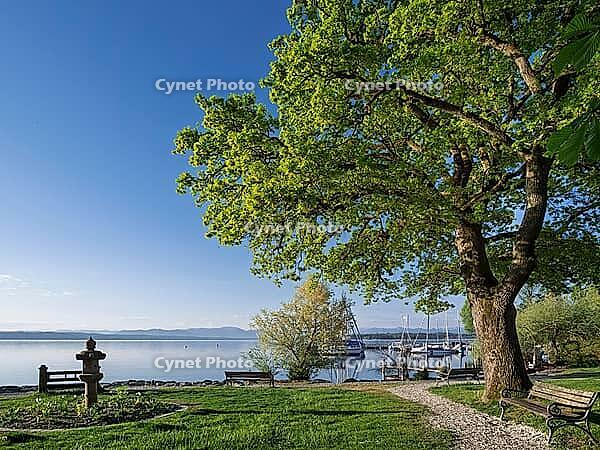 Thomaplatz am Starnberger See in morning light, Tutzing, Bavaria, Germany [IBR125030504]