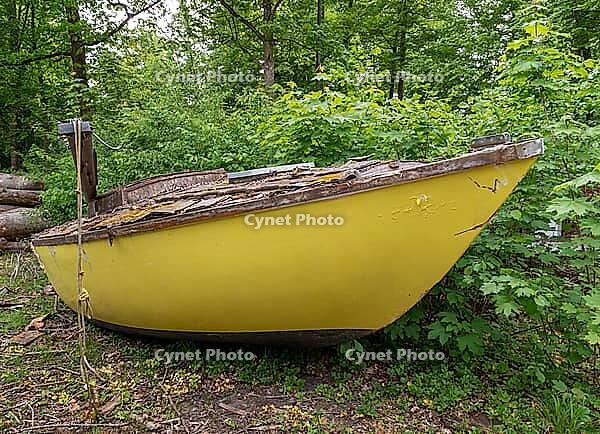 Old broken sailboat rots in landscape, pollution [IBR125030519]