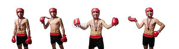 Funny boxer isolated on the white [IBR125053184]