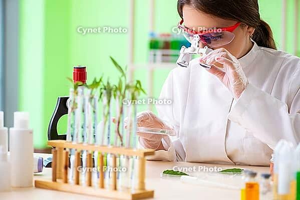 Beautiful female biotechnology scientist chemist working in lab [IBR125062207]