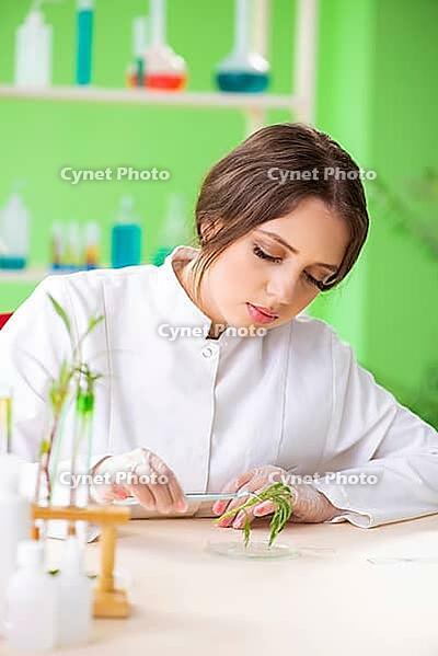 Beautiful female biotechnology scientist chemist working in lab [IBR125062211]