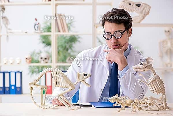 Funny crazy professor studying animal skeletons [IBR125094364]