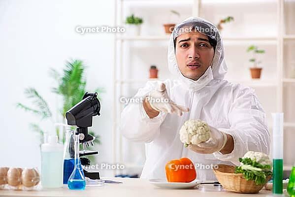 Scientist working in lab on GMO fruits and vegetables [IBR125141763]