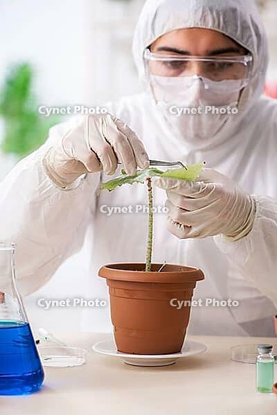 Biotechnology chemist working in lab [IBR125141766]
