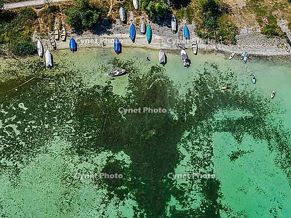 Lake Constance shore on the island of Reichenau with boats and swimmers. The bottom of the lake can be seen in many shallow water zones. The water level of Lake Constance is currently low for the time of year. Reichenau, Baden-Württemberg, Germany [IBR125163349]