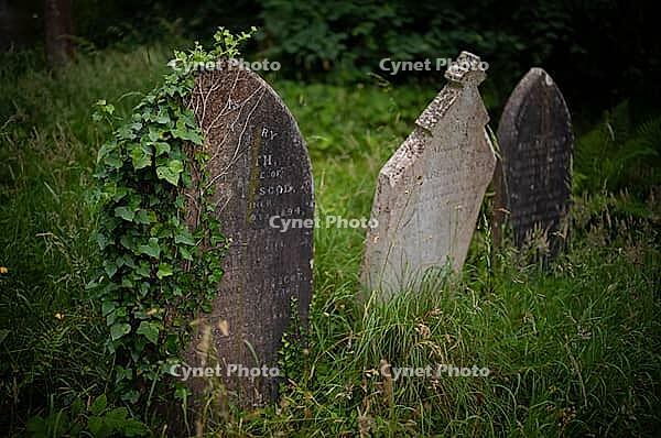 Weathered graves, headstones, ivy, municipal cemetery, Falmouth, Cornwall, England, Great Britain, Great Britain [IBR125163353]