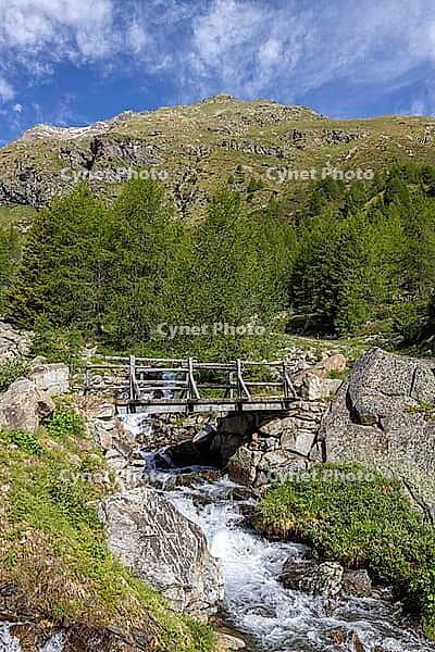 Wooden bridge over mountain stream, Torrente di Val Campaccio, climb to Lake Campaccio, Monte, Valdisotto, Sondrio, Italy [IBR125163403]