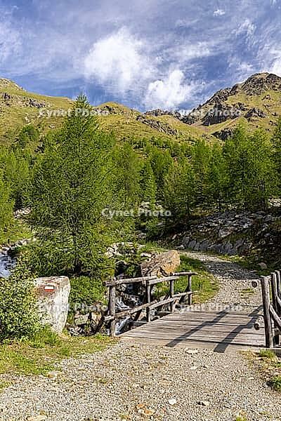 Wooden bridge over mountain stream, Torrente di Val Campaccio, climb to Lake Campaccio, Monte, Valdisotto, Sondrio, Italy [IBR125163416]