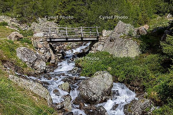 Wooden bridge over mountain stream, Torrente di Val Campaccio, climb to Lake Campaccio, Monte, Valdisotto, Sondrio, Italy [IBR125163423]