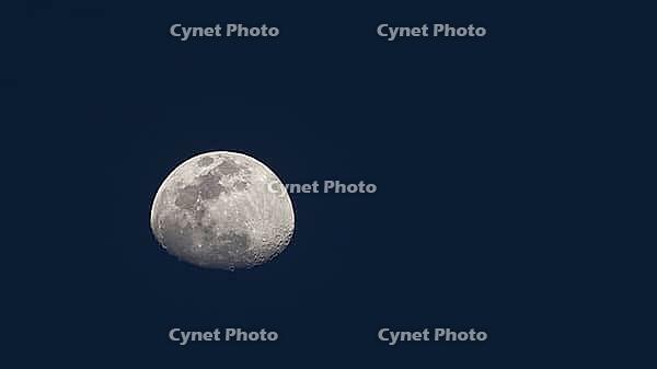 Moon [IBR125164163]
