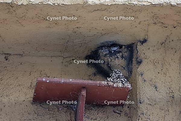 Young house martin (Delichon urbicum) in its nest, swallow, droppings board, bird droppings, board, species conservation, urban, Schwäbisch Hall, Hohenlohe, Germany [IBR125164211]