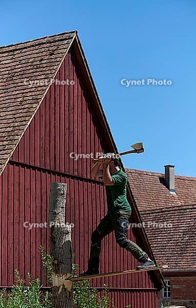 Sports wood felling during forest day in the Hohenloher open-air museum, springboard, wood felling, axe, footboard, Wackershofen, Schwäbisch Hall, Hohenlohe, Germany [IBR125164214]