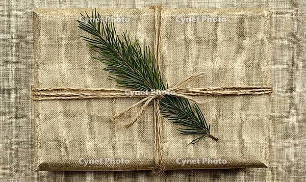 Rustic gift wrapped in brown kraft paper with twine and a sprig of green fir, set against a soft beige background. AI generated [IBR125167424]