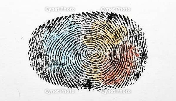 Inked fingerprint full-frame macro with translucent color-coded quality annotation regions, blue for high quality, amber for moderate, red-orange for degraded ridges, forensic AI training dataset concept, studio shot, AI generated [IBR125167451]