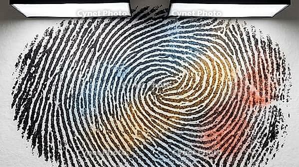 Inked fingerprint full-frame macro with translucent color-coded quality annotation regions, blue for high quality, amber for moderate, red-orange for degraded ridges, forensic AI training dataset concept, studio shot, AI generated [IBR125167453]