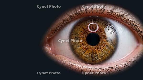Human eye iris extreme close-up, amber-hazel trabecular pattern with infrared capture ring reflected in cornea, biometric iris recognition enrollment concept, dark charcoal background, studio shot, AI generated [IBR125167458]