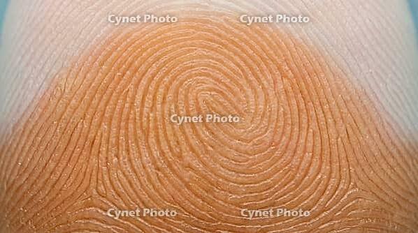 Human fingertip pressed against glass surface, extreme macro view from below, full-frame friction ridge fingerprint texture, biometric identity and forensic science concept, studio shot, AI generated [IBR125167459]