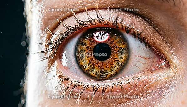 Human eye iris extreme close-up, amber-hazel trabecular pattern with infrared capture ring reflected in cornea, biometric iris recognition enrollment concept, dark charcoal background, studio shot, AI generated [IBR125167462]