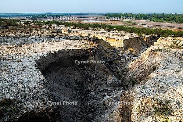 2017, Brandenburg, Germany, Mainzer Land, Nabu, Nabu Project, national natural heritage, Grünhaus natural paradise, post-mining landscape, Grünhaus [IBR125173392]