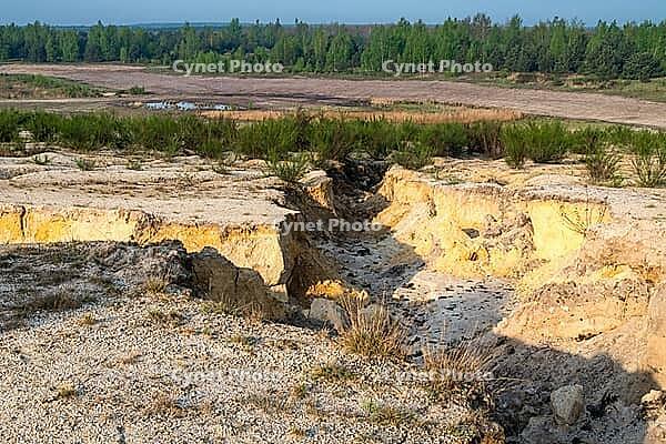 2017, Brandenburg, Germany, Mainzer Land, Nabu, Nabu Project, national natural heritage, Grünhaus natural paradise, post-mining landscape, Grünhaus [IBR125173393]